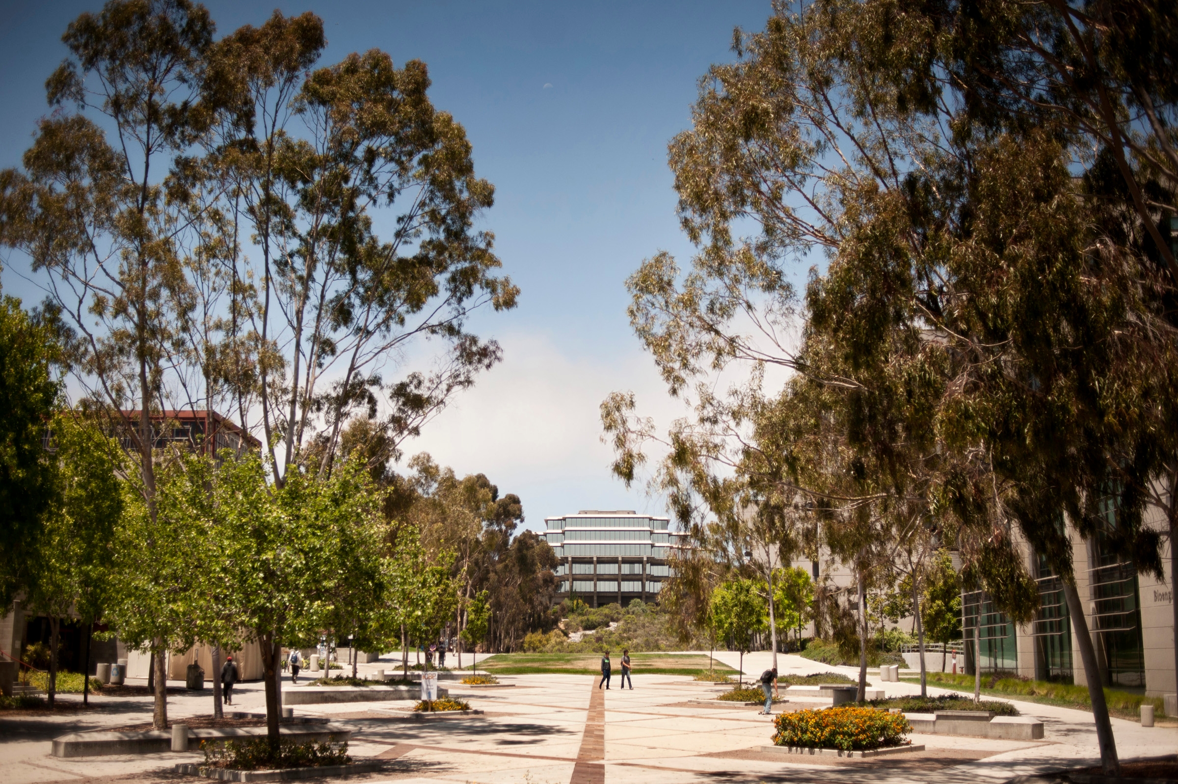 chemistry phd ucsd