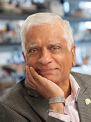 Professor Suresh Subramani